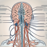 what diseases cause the glossopharyngeal nerve